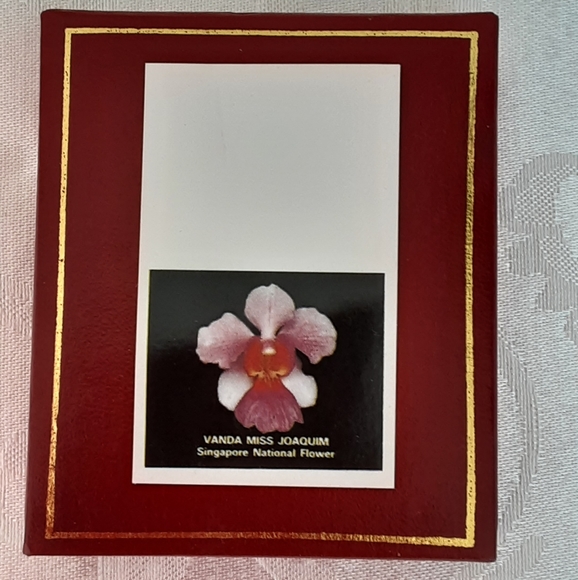 24K Gold Plated Singapore Orchid Copper Brooch/Pendant - Picture 6 of 7